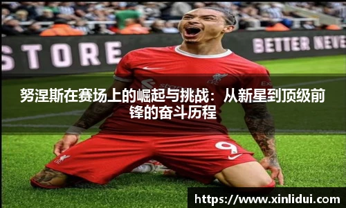 努涅斯在赛场上的崛起与挑战:从新星到顶级前锋的奋斗历程
